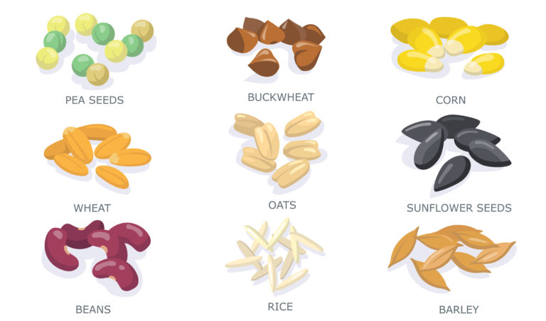 الأطعمة الخالية من الغلوتين